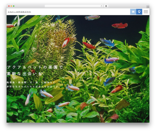 Sp auto tellink WordPress plugin - kanedai-honmachida.com