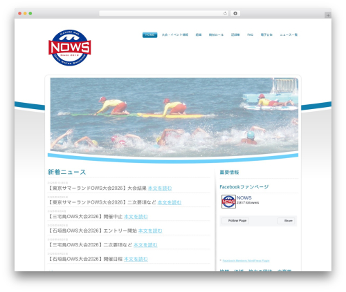 WP Social Bookmarking Light (wp-social-bookmarking-light) free WordPress plugin - n-ows.jp