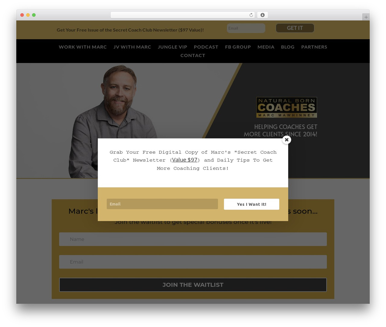 WordPress theme Divi Child Theme - naturalborncoaches.com WordPress theme Divi Child Theme - naturalborncoaches.com