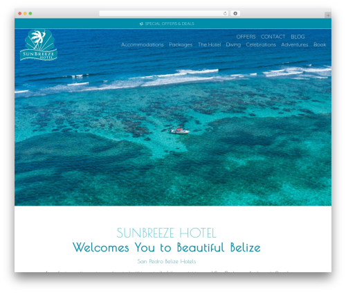 AnyWhere Elementor (anywhere-elementor) free WordPress plugin - sunbreeze.net AnyWhere Elementor (anywhere-elementor) free WordPress plugin - sunbreeze.net
