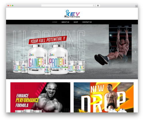 Best WordPress theme Revo - keynutrition.ch