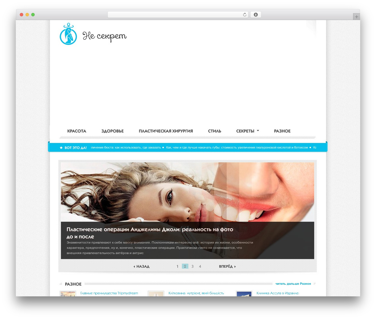 Kernel Premium Theme WordPress theme - nesekret.net