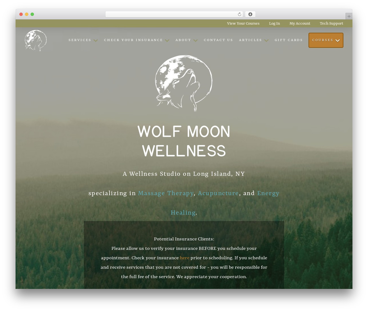 Pro theme WordPress - wolfmoonwellness.com