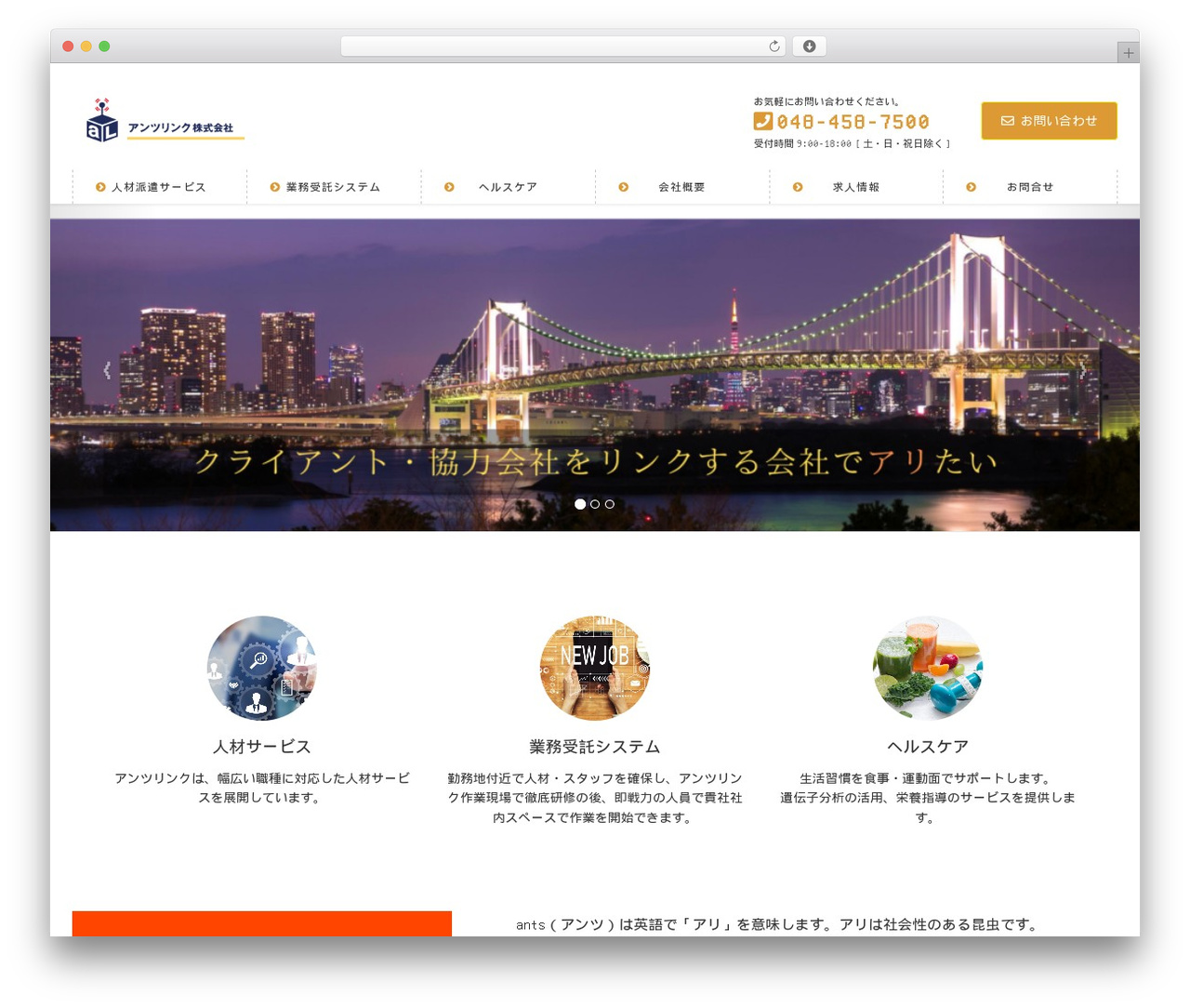 WordPress theme Lightning Pro - antzlink.com