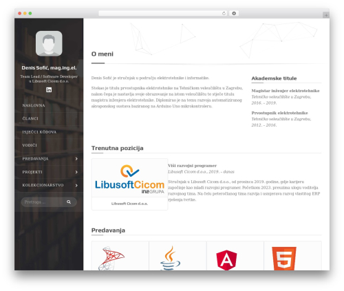 Best WordPress theme dev - dsofic.dev