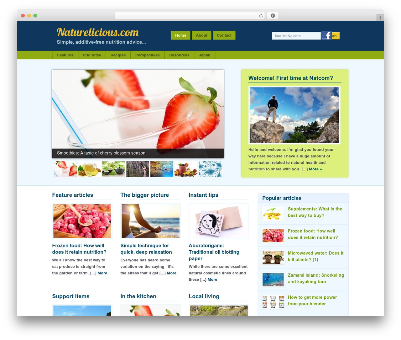 Catalyst WP theme - naturelicious.com