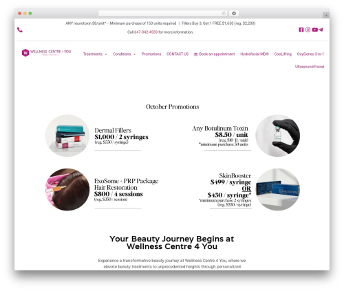 Hello Elementor theme WordPress - wellnesscentre4you.com