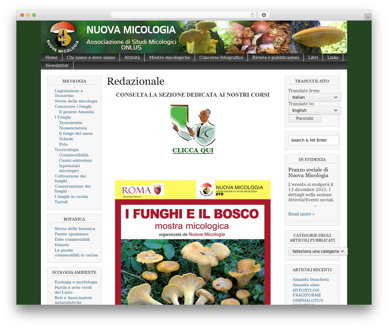 WordPress theme Magazine Basic - nuovamicologia.eu