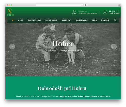 WordPress website theme MDBootstrap4 - zavod-hober.si