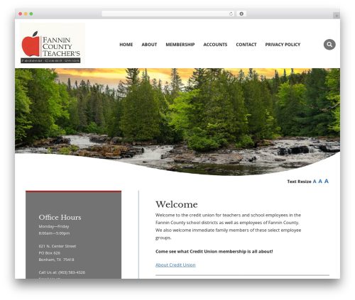 Fedcomp Multi Theme WordPress theme - fanninteachersfcu.com