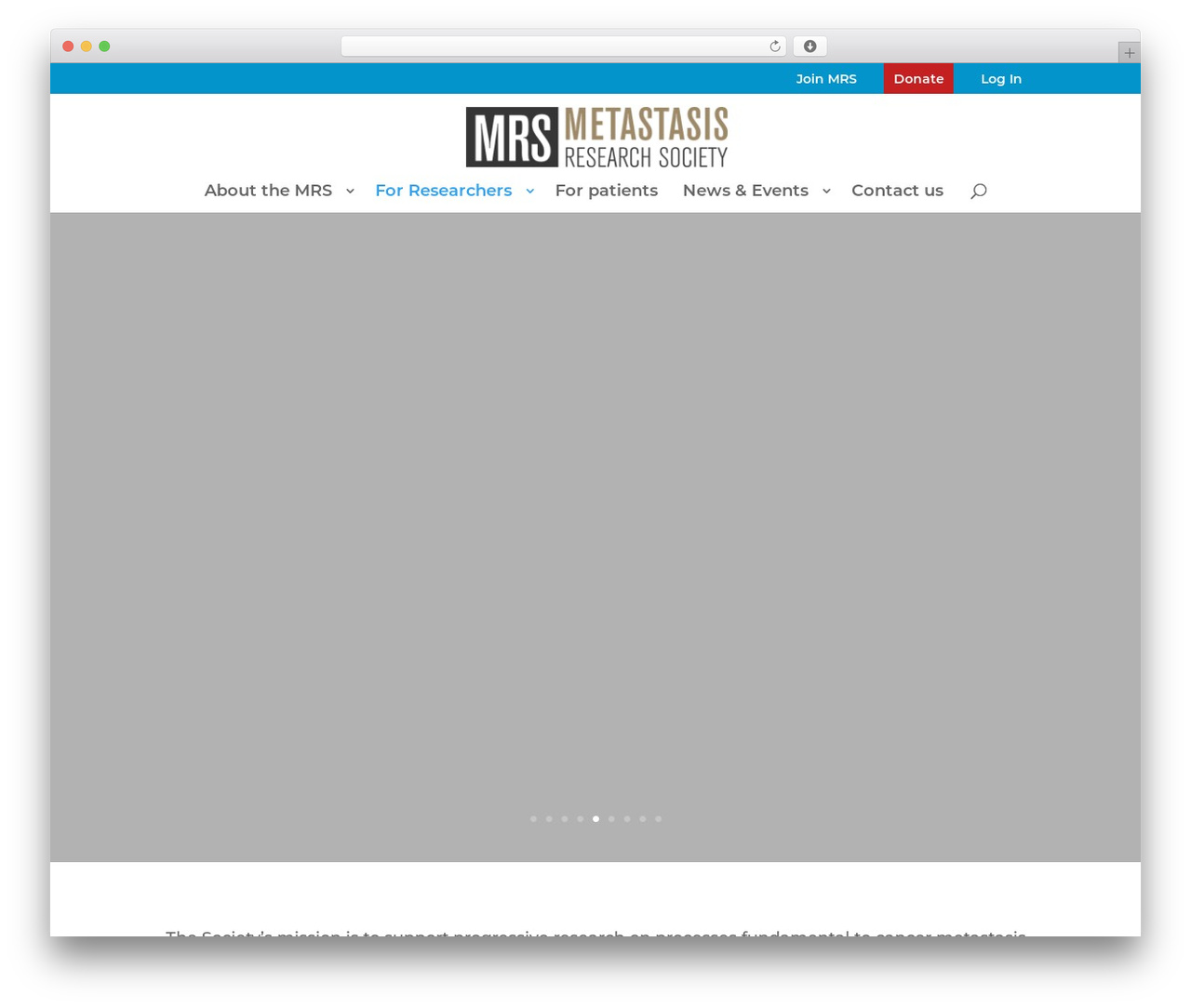 Theme WordPress Divi - metastasis-research.org Theme WordPress Divi - metastasis-research.org