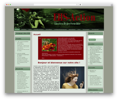 Pdf ppt viewer WordPress plugin - ehs-action.org