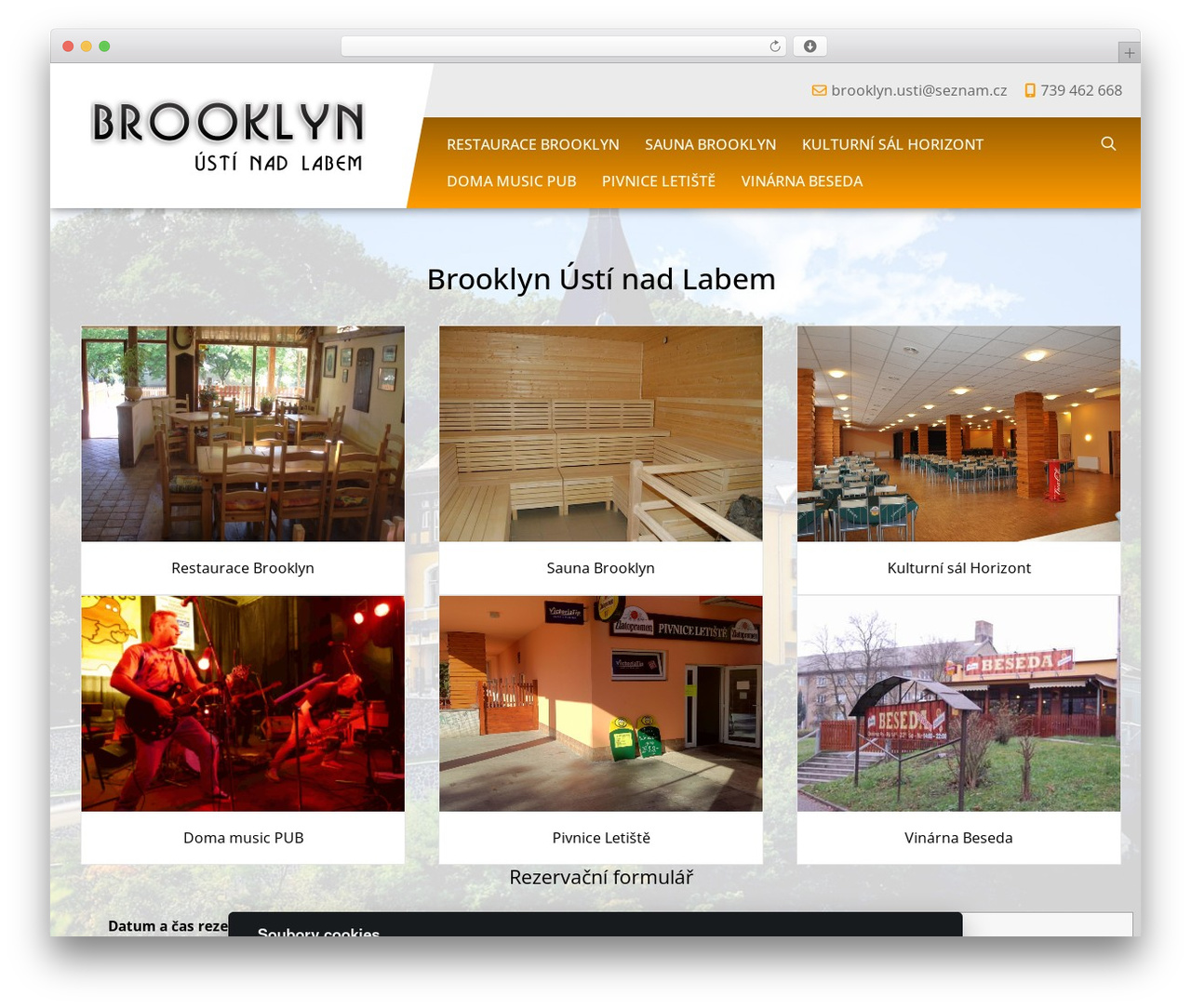 WordPress theme Template 17 - brooklynahorik.com