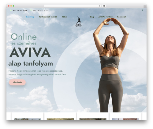 Yoku WordPress page theme - avivatorna.com