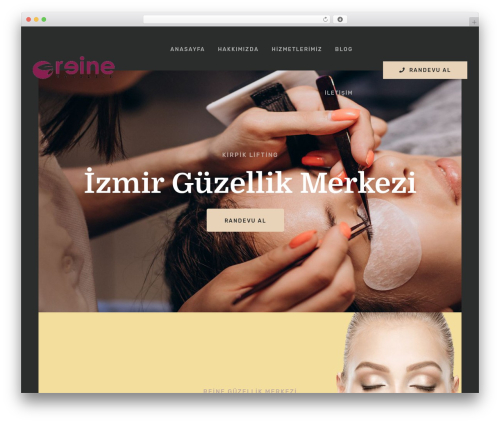 Termico WordPress theme - www.reineestetik.com
