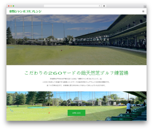 WordPress theme BIRTH - tonoj-golf.com