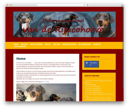 Follow Us Badges (wpsite-follow-us-badges) free WordPress plugin - rijucohoeve.nl