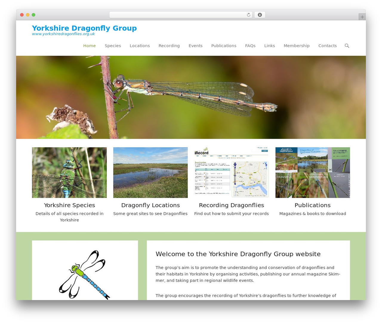 Adventurous WordPress theme design - yorkshiredragonflies.org.uk
