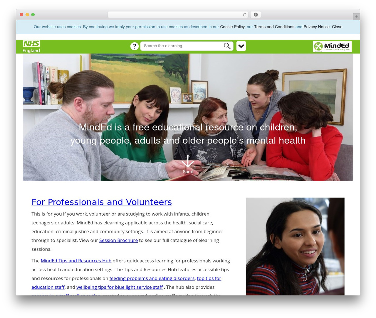 lfh theme WordPress - minded.org.uk