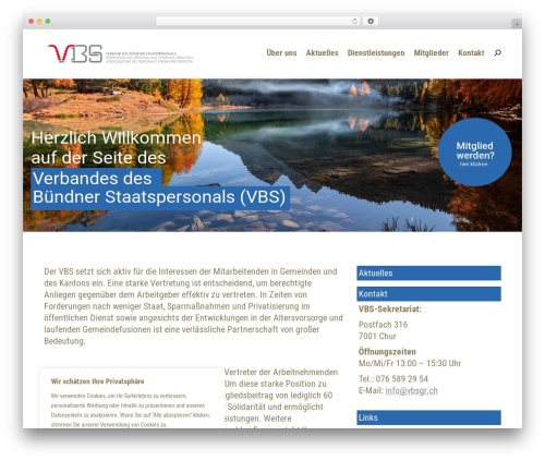 Better block editor WordPress plugin - vbsgr.ch