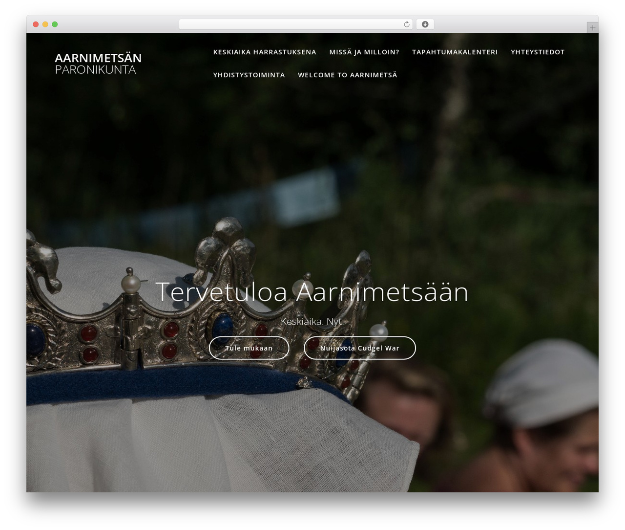 Highlight WordPress theme - aarnimetsa.org