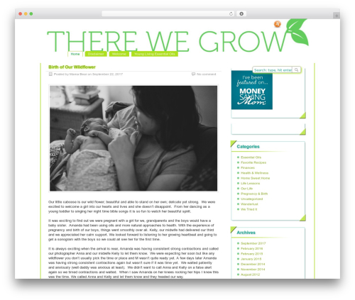 paramitopia top WordPress theme - therewegrow.com paramitopia top WordPress theme - therewegrow.com