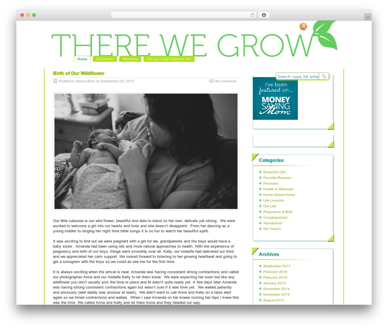 paramitopia top WordPress theme - therewegrow.com paramitopia top WordPress theme - therewegrow.com