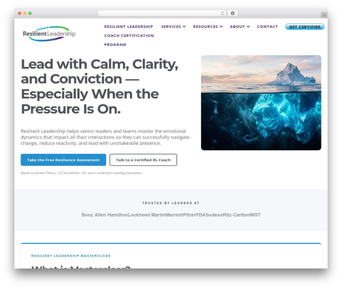 Organic shortcodes WordPress plugin - resilientleadershipdevelopment.com