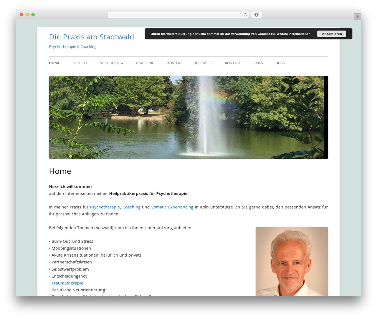 Tiny Forge WordPress website theme - therapie-koeln.net
