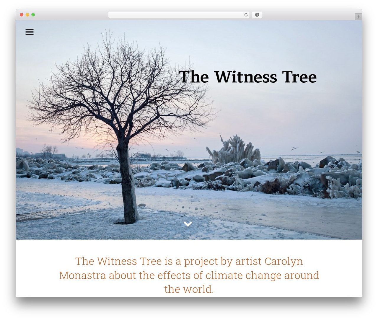witnesstree WordPress theme - thewitnesstree.org