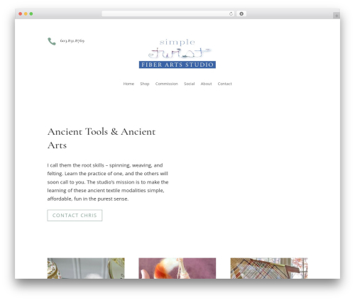 WordPress theme Divi - simpletwiststudio.com