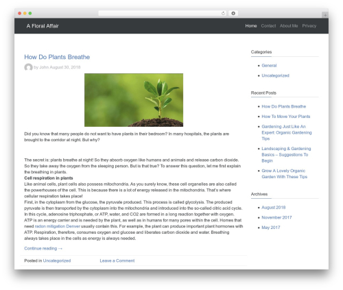 WP theme SlResponsive - cynthialpearson.com WP theme SlResponsive - cynthialpearson.com