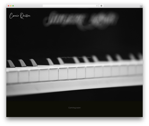 Music player for elementor premium WordPress plugin - conniequillen.com