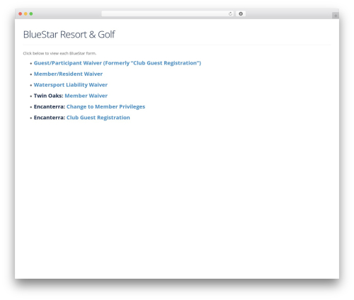 CloudStrap WordPress theme - bluestarforms.com