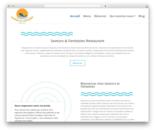 Divi contact form zero spam WordPress plugin - saveursetfantaisies.com