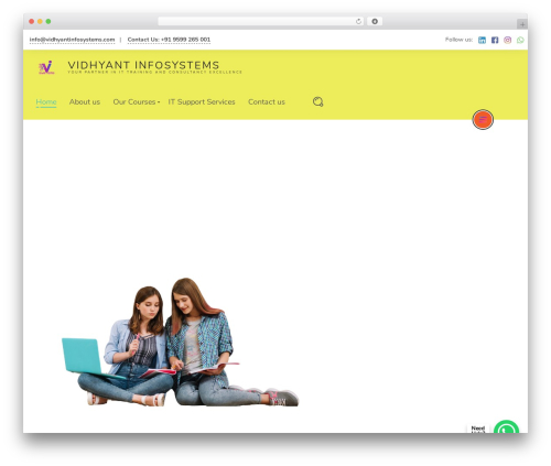 Portfolio kit WordPress plugin - vidhyantinfosystems.com