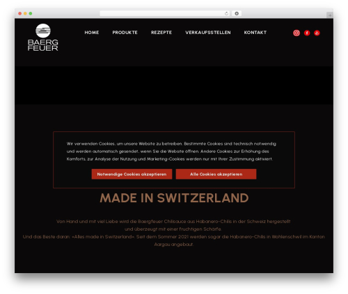 WordPress theme Custom Theme - baergfeuer.com