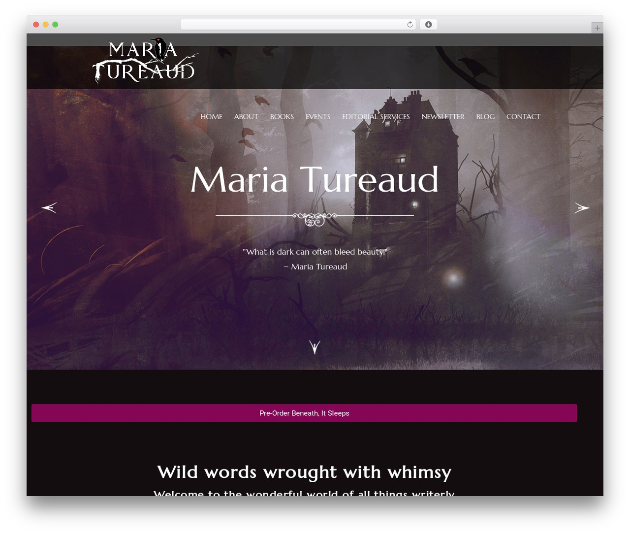 Eldritch theme WordPress - mariatureaud.com