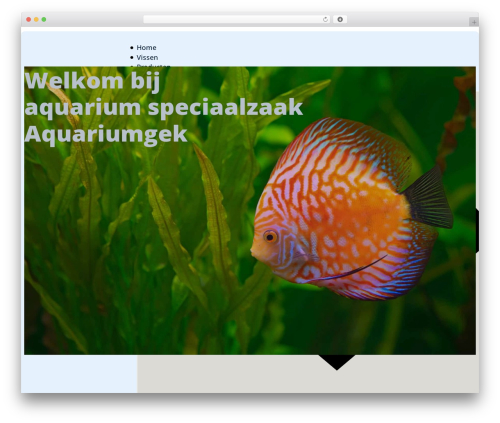 Wp grid builder bricks WordPress plugin - aquariumgek.nl