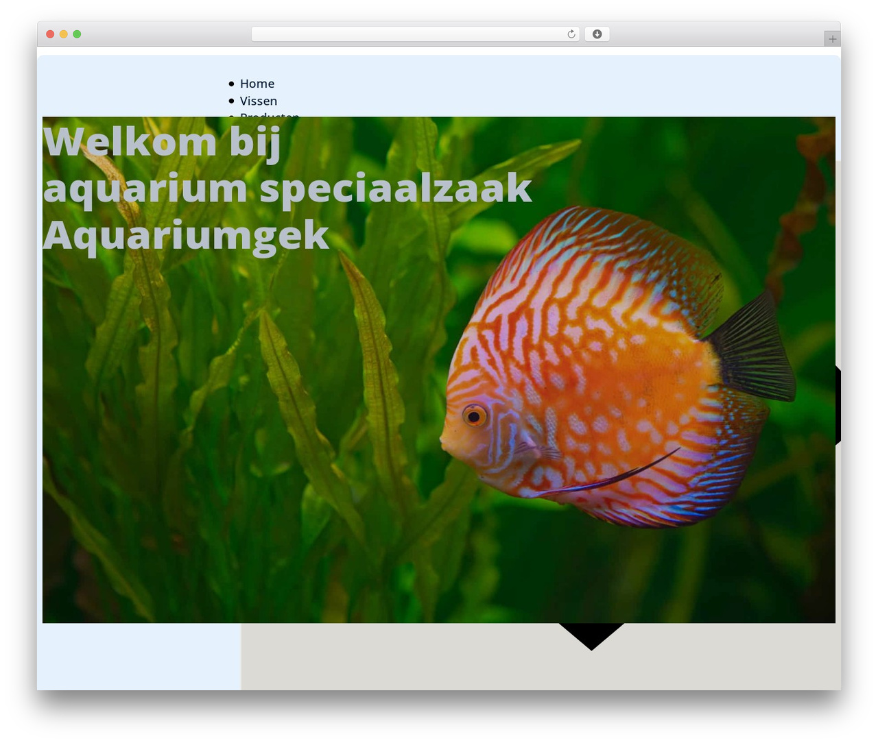 Theme WordPress Bricks - aquariumgek.nl