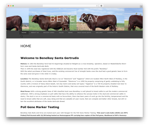 WordPress theme Suits - benelkaysantas.com.au