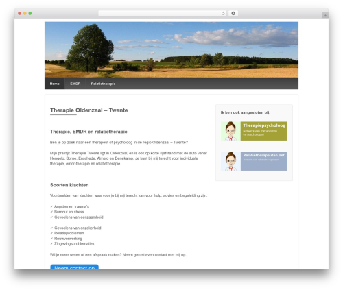 WordPress theme Responsive Pro - therapie-twente.com