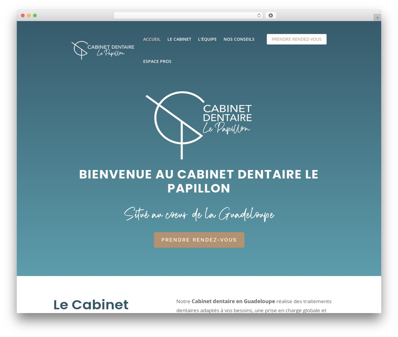 Divi WordPress theme - cabinetlepapillon.com