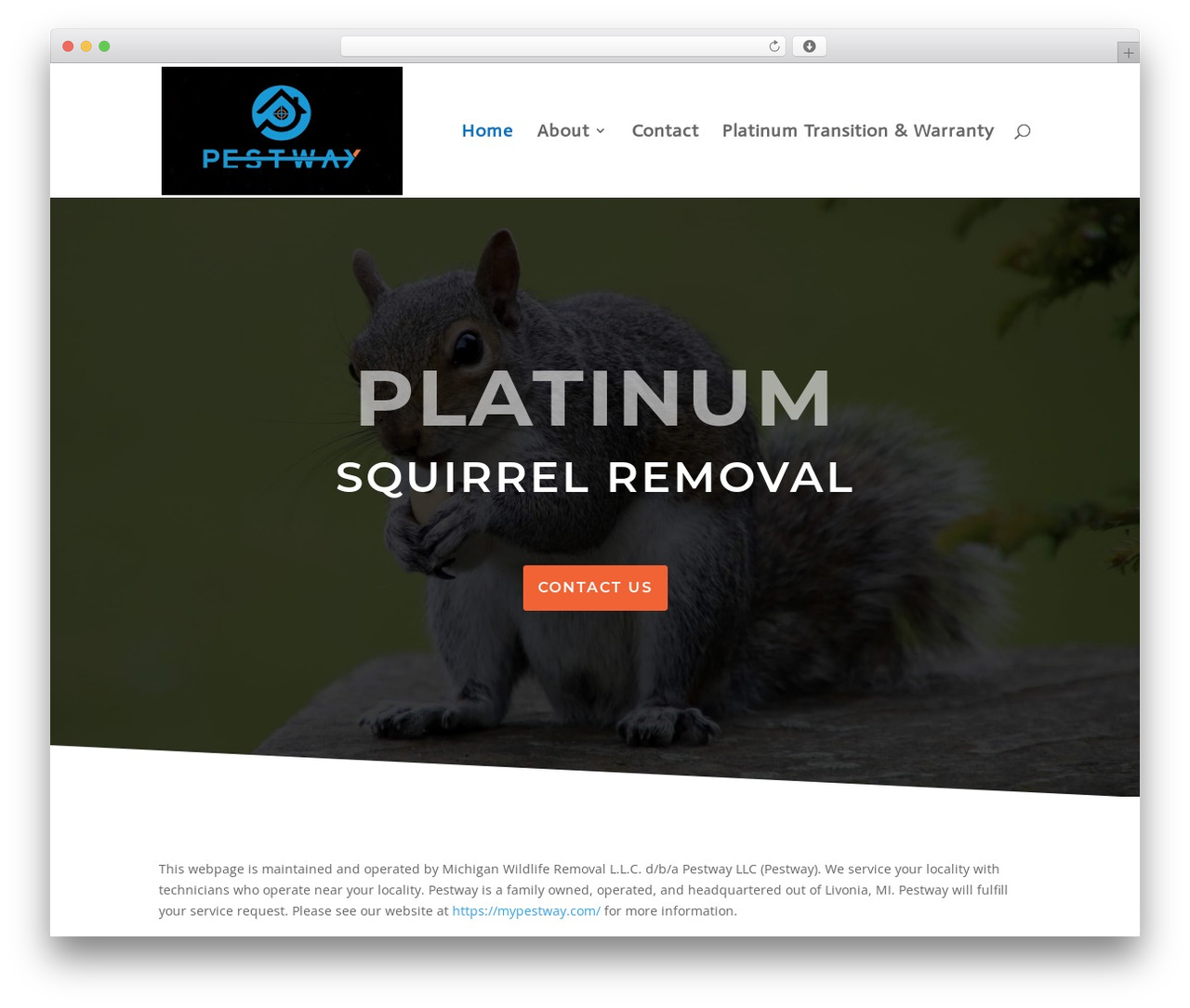 Divi WordPress theme design - platinumsquirrelremoval.com Divi WordPress theme design - platinumsquirrelremoval.com