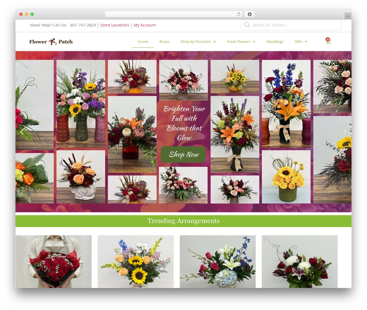 Hello Elementor theme WordPress - flowerpatch.com Hello Elementor theme WordPress - flowerpatch.com