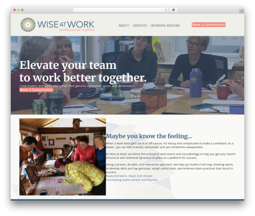 Theme WordPress Beaver Builder Theme - wiseatwork.net