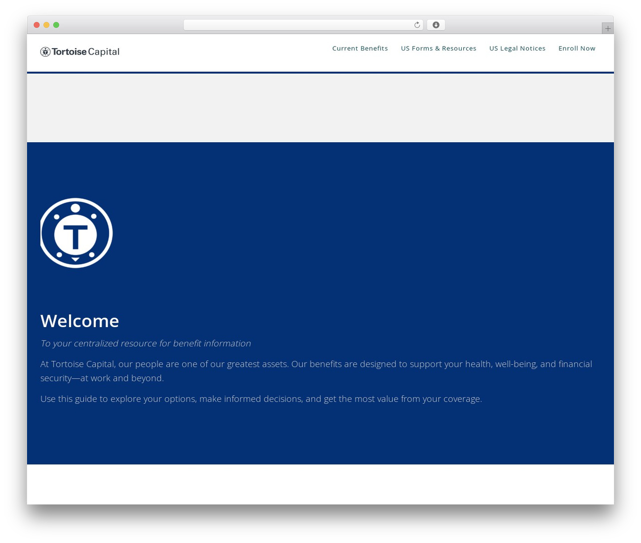 Epik WordPress theme - tortoisebenefits.com Epik WordPress theme - tortoisebenefits.com