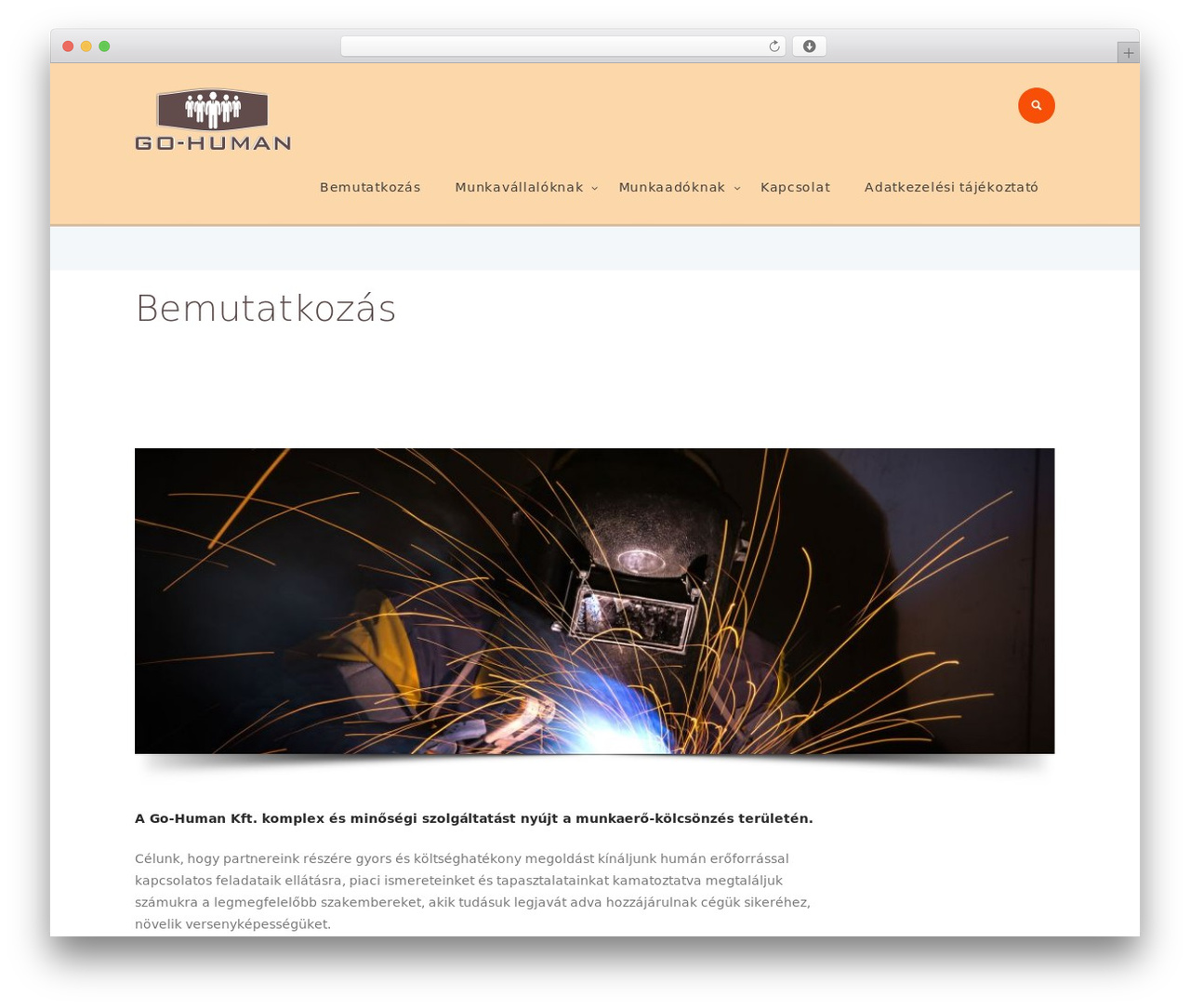 Optima WordPress theme - gohuman.hu