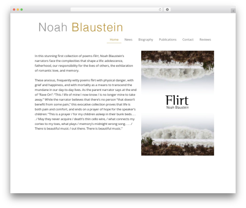 Pagelines customize WordPress plugin - noahblaustein.com