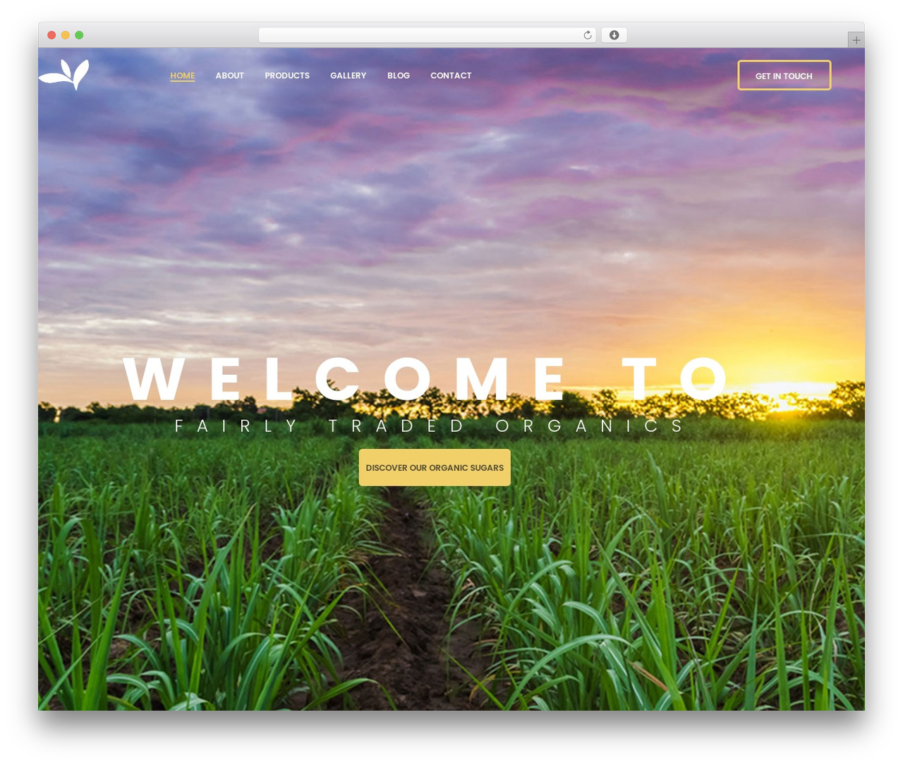 Elementor Hello Theme WordPress theme - fairlytradedorganics.com Elementor Hello Theme WordPress theme - fairlytradedorganics.com